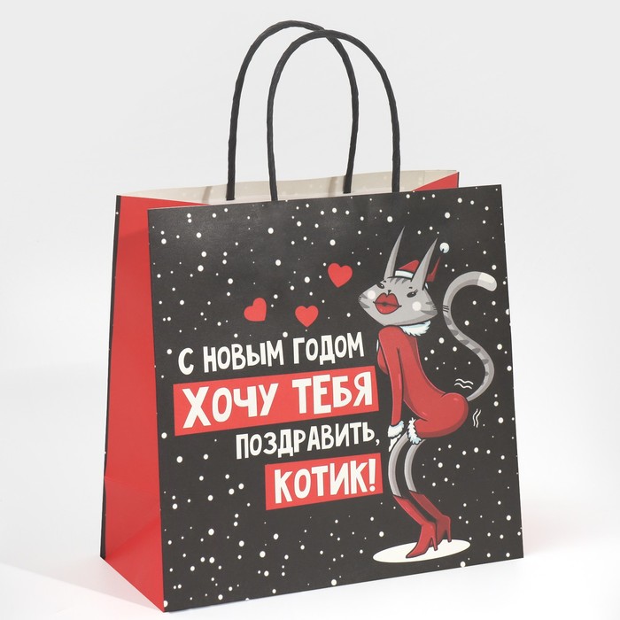 Пакет подарочный «Котик», 22 × 22 × 11 см